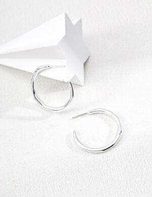 Silver base color earrings